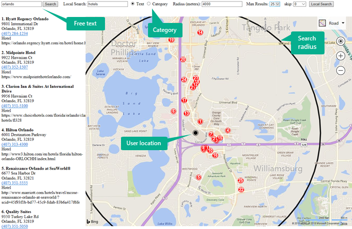 Bing Maps Local Search API Screenshot Annotated