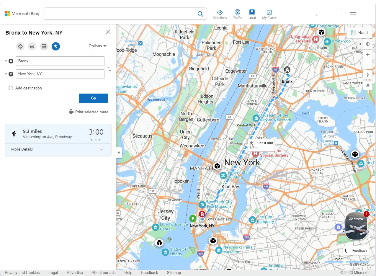 Bing Maps walking map