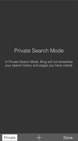 PrivateSearchMode2