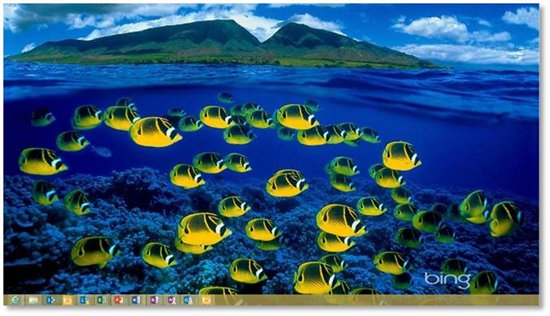 The Next Version of Bing Desktop Now Available: Expands Language ...