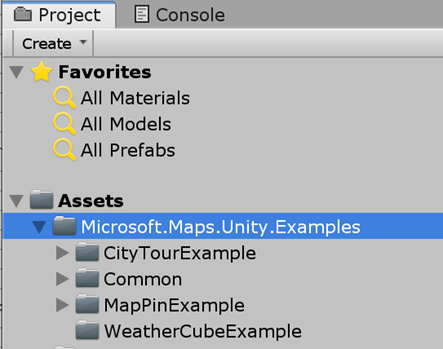 Maps SDK for Unity - Assets Folder